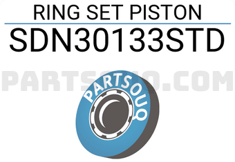 NPR SDN30133STD PISTON RING