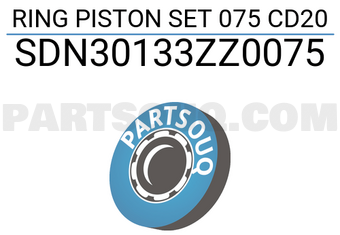 NPR SDN30133ZZ0075 RING PISTON SET 075 CD20