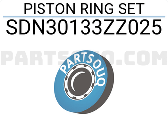NPR SDN30133ZZ025 PISTON RING SET