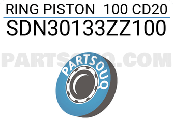 NPR SDN30133ZZ100 RING PISTON 100 CD20