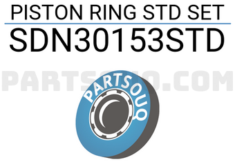 NPR SDN30153STD PISTON RING STD SET