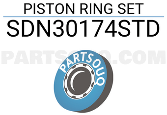 NPR SDN30174STD PISTON RING SET