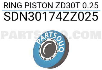 NPR SDN30174ZZ025 RING PISTON ZD30T 0.25