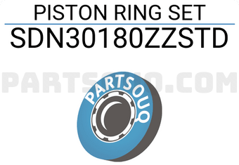 NPR SDN30180ZZSTD PISTON RING SET