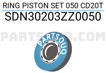 NPR SDN30203ZZ0050 RING PISTON SET 050 CD20T