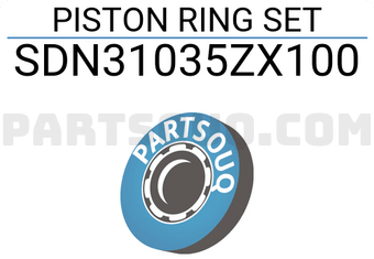 NPR SDN31035ZX100 PISTON RING SET
