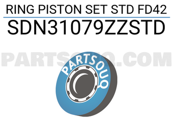 NPR SDN31079ZZSTD RING PISTON SET STD FD42
