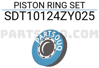 NPR SDT10124ZY025 PISTON RING SET