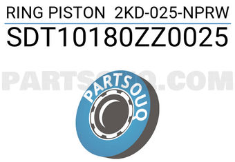 NPR SDT10180ZZ0025 RING PISTON 2KD-025-NPRW
