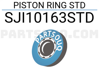 NPR SJI10163STD PISTON RING STD