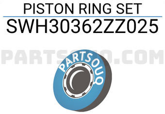 NPR SWH30362ZZ025 PISTON RING SET