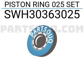 NPR SWH30363025 PISTON RING 025 SET