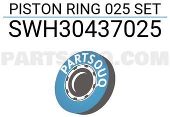 NPR SWH30437025 PISTON RING 025 SET