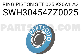 NPR SWH30454ZZ0025 RING PISTON SET 025 K20A1 A2