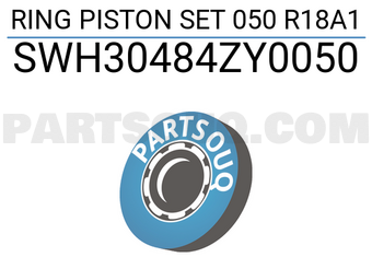 NPR SWH30484ZY0050 RING PISTON SET 050 R18A1