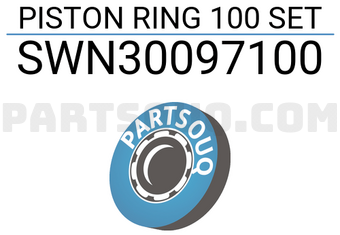 NPR SWN30097100 PISTON RING 100 SET