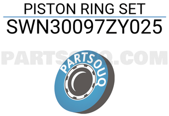 NPR SWN30097ZY025 PISTON RING SET