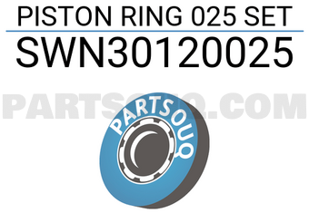 NPR SWN30120025 PISTON RING 025 SET