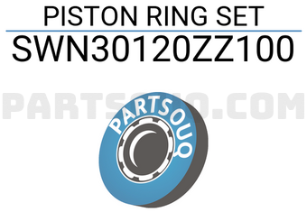 NPR SWN30120ZZ100 PISTON RING SET