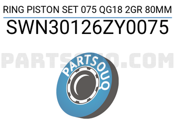 NPR SWN30126ZY0075 RING PISTON SET 075 QG18 2GR 80MM