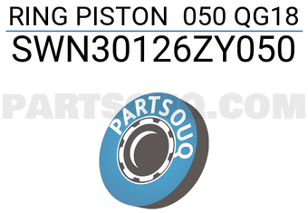NPR SWN30126ZY050 RING PISTON 050 QG18