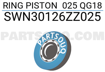 NPR SWN30126ZZ025 RING PISTON 025 QG18
