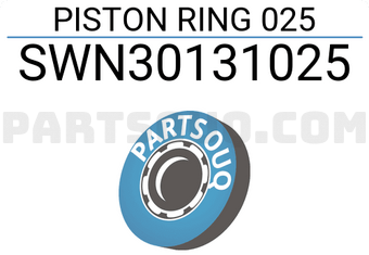 NPR SWN30131025 PISTON RING 025
