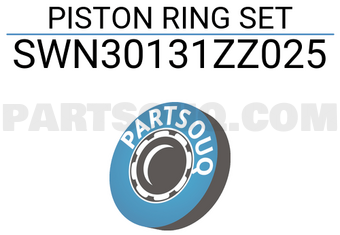 NPR SWN30131ZZ025 PISTON RING SET