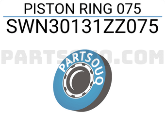 NPR SWN30131ZZ075 PISTON RING 075
