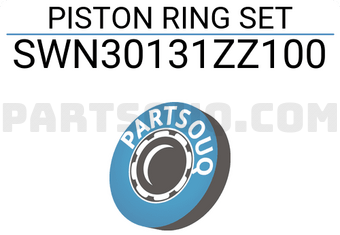 NPR SWN30131ZZ100 PISTON RING SET