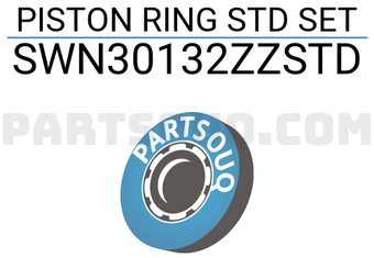 NPR SWN30132ZZSTD PISTON RING STD SET