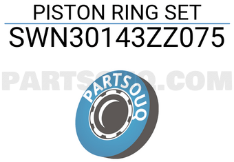 NPR SWN30143ZZ075 PISTON RING SET
