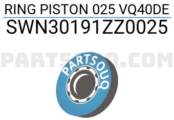 NPR SWN30191ZZ0025 RING PISTON 025 VQ40DE