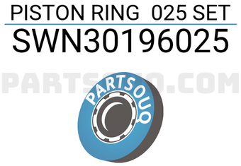 NPR SWN30196025 PISTON RING 025 SET