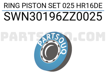 NPR SWN30196ZZ0025 RING PISTON SET 025 HR16DE