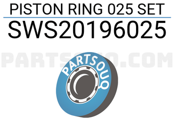NPR SWS20196025 PISTON RING 025 SET