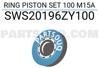 NPR SWS20196ZY100 RING PISTON SET 100 M15A