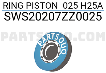 NPR SWS20207ZZ0025 RING PISTON 025 H25A