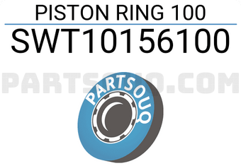 NPR SWT10156100 PISTON RING 100