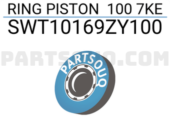 NPR SWT10169ZY100 RING PISTON 100 7KE