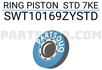 NPR SWT10169ZYSTD RING PISTON STD 7KE
