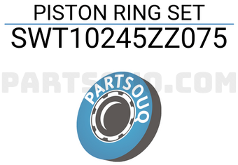 NPR SWT10245ZZ075 PISTON RING SET