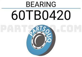 NSK 60TB0420 BEARING