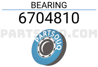 NSK 6704810 BEARING
