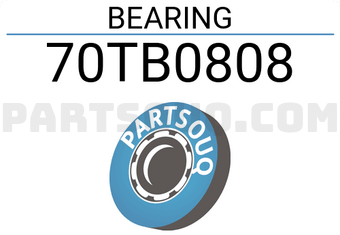 NSK 70TB0808 BEARING