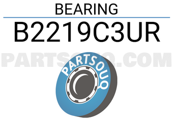 NSK B2219C3UR BEARING