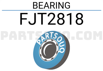 NSK FJT2818 BEARING