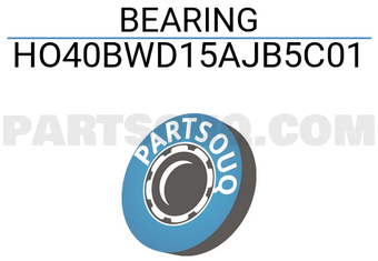 NSK HO40BWD15AJB5C01 BEARING