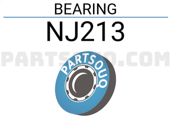 NSK NJ213 BEARING