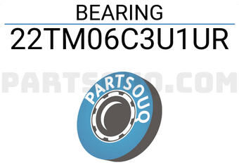 NTN 22TM06C3U1UR BEARING